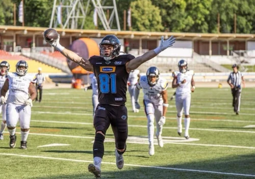 Panthers Wrocław rozbili szwajcarski Alpine Rams