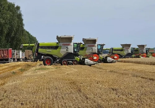 Kietrz zaprezentuje hodowlę bydła i soję. Rolnictwo 4.0 w dużej skali