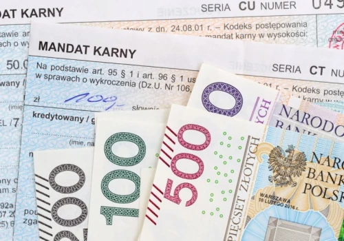 Posłanka chce 1000-proc. podwyżki kar za parkowanie. Jest pismo
