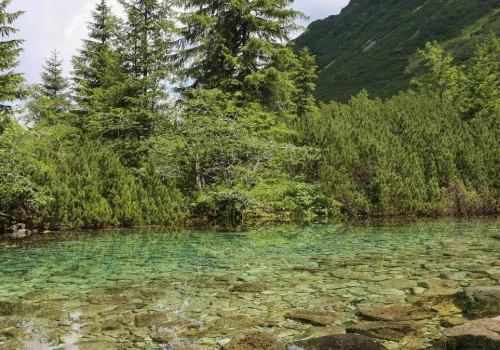 Tatry mają szansę w konkursie. 
