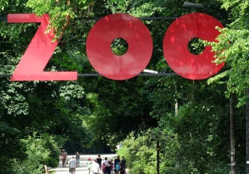 W zoo w Warszawie pojawił się Sernik. Tak zadecydowali internauci