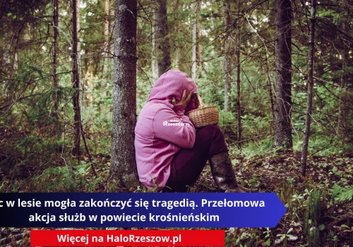 Noc w lesie mogła zakończyć się tragedią. Przełomowa akcja służb w powiecie krośnieńskim