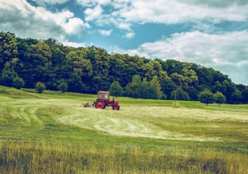Agroturystyka w Świętokrzyskiem – dlaczego warto wybrać taki wypoczynek? Najważniejsze kryteria wyboru