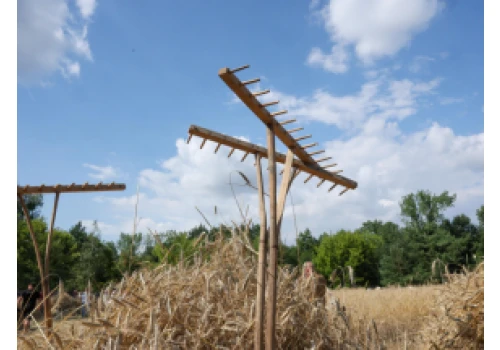 Jak dawniej żniwowano będzie można zobaczyć w skansenie w Sierpcu