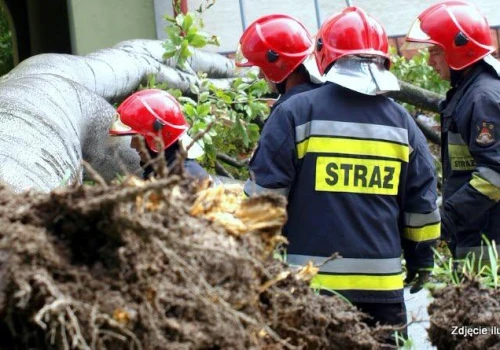 Nawałnice przeszły nad Podkarpaciem. Strażacy usuwają powalone drzewa i uszkodzone linie