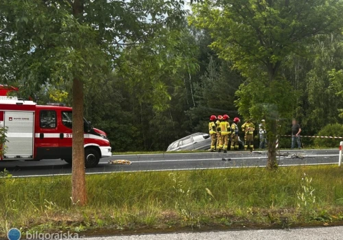 Czołowe zderzenie na DW835. Dwie osoby trafiły do szpitala, kierowcę BMW uwolnili strażacy
