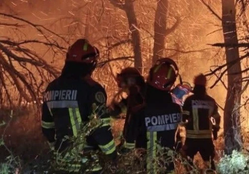 Ewakuowano 290 tys. osób, ogień zagrażał fabrykom broni. Francja i Hiszpania walczą z pożarami