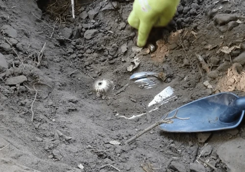 Błysk srebra i ogromne emocje. Odkrywcy opublikowali film z odkopania Skarbu Tarnowskich