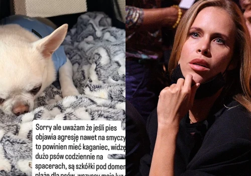 Pactwa nagłośniła atak na jej psa na spacerze. 