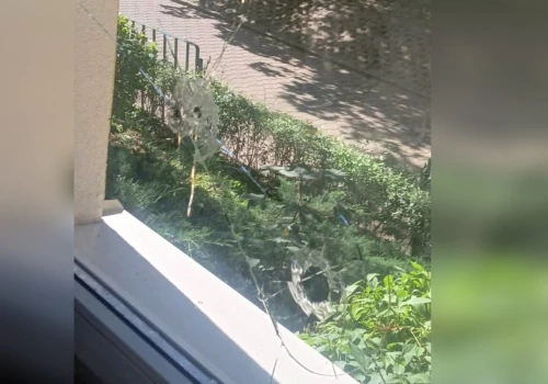Ktoś ostrzelał mieszkanie przy ul. Krańcowej. Policja prowadzi dochodzenie