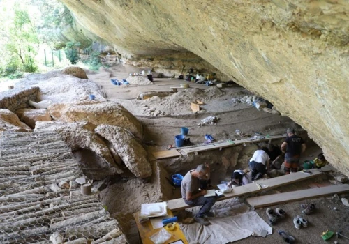 Ukryte stanowisko pokazuje kluczowy moment w dziejach ludzkości. Archeolodzy znaleźli ślady narodzin rolnictwa