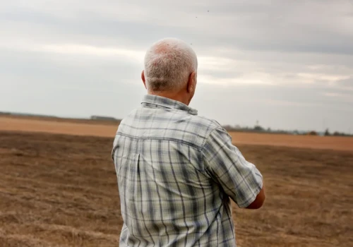 Ceny w skupach runęły. Są tylko dwa wyjątki