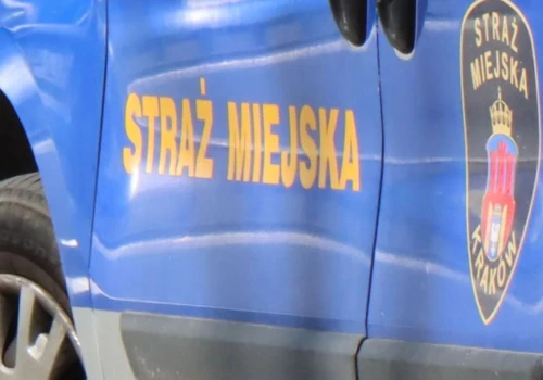 Straż miejska interweniowała setki razy. Najwięcej wykroczeń na Zakrzówku
