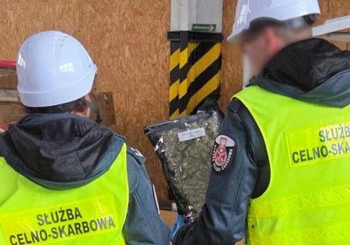 Tona marihuany w kontenerze do Polski. Trwa śledztwo