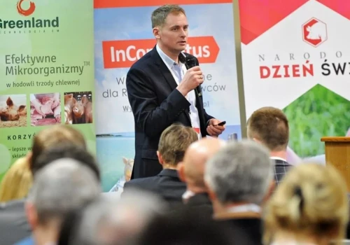 Polska importuje 8 mln prosiąt rocznie. Styburski: bez współpracy nie odbudujemy produkcji świń