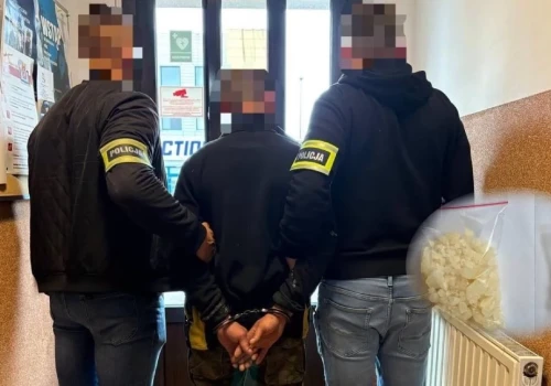 Ponad 400 gramów narkotyków przejętych w powiecie kolskim. 35-latek został tymczasowo aresztowany
