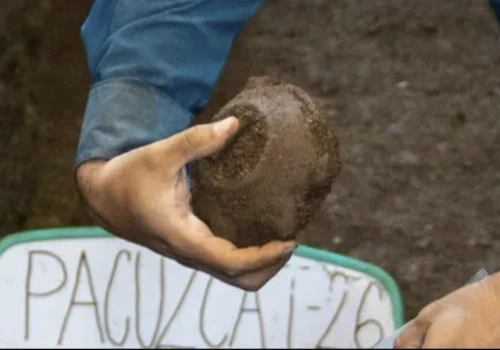 Archeolodzy odkryli niezwykły grób. Przy dłoni zmarłego leżał żółw