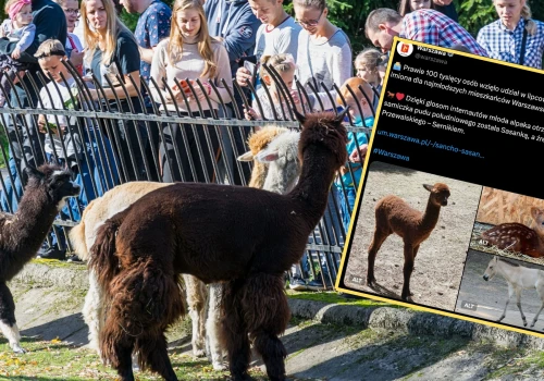 Blisko 100 tys. głosów. Tak nazwano najmłodsze zwierzęta w warszawskim zoo
