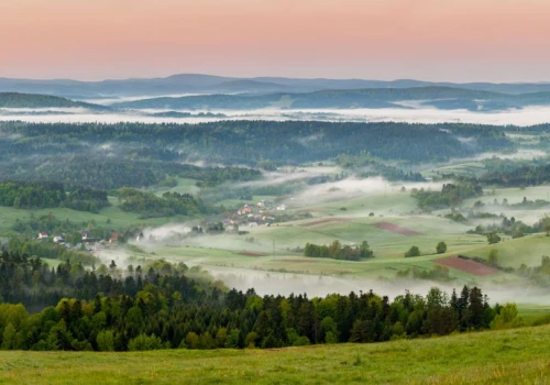Niedźwiedzie odstraszają turystów. Poseł proponuje odszkodowania dla hoteli i pensjonatów