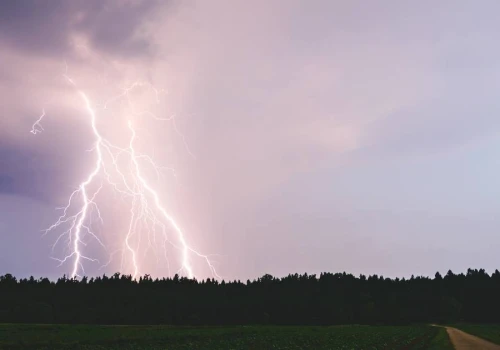 Pokazał, co błyskawica zrobiła z drzewem. Nagranie hitem sieci