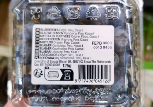 W szczycie sezonu na polskie borówki w sklepach dominuje import! Branża pyta: dlaczego?