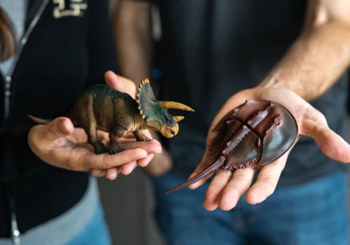 Planetoida i pył, który spalił świat dinozaurów. Są nowe wyniki badań
