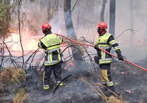 Tragedia podczas walki z żywiołem. We Francji zginął 38-letni strażak