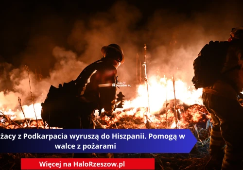 Strażacy z Podkarpacia wyruszą do Hiszpanii. Pomogą w walce z pożarami
