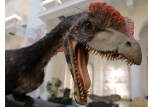 Globalna burza ogniowa mogła zakończyć erę dinozaurów