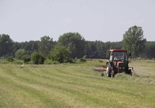Dopłaty tylko ze zwierzętami? Ministerstwo podjęło decyzję