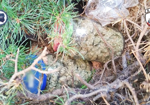 66 kilogramów narkotyków przejęte. Akcja CBZC na Podkarpaciu