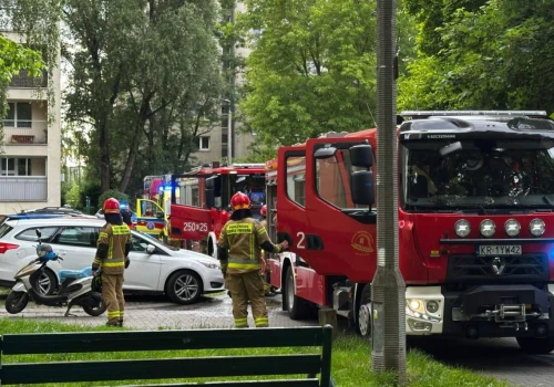 Z tym problemem krakowscy strażacy mierzą się niemal każdego dnia