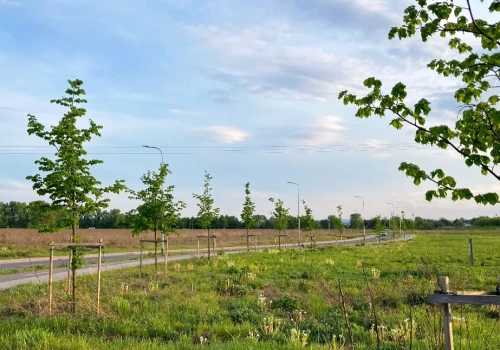 Wracają upały - ostrzeżenie meteo dla powiatu legnickiego