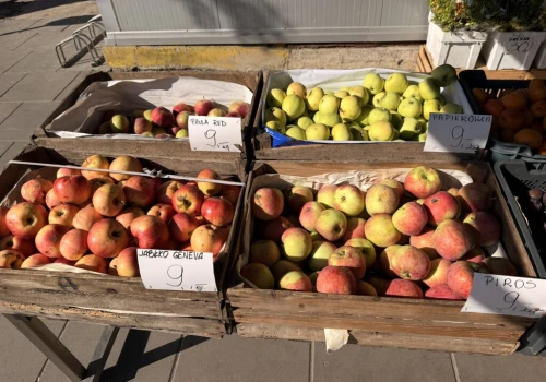 Letnie owoce z polskich sadów na warszawskich straganach. Jabłka już od 9 zł/kg, śliwki od 5 zł/kg, a maliny wciąż wśród najdroższych