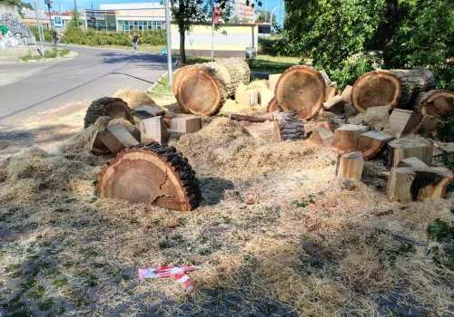 Wycinka drzew w Rzeszowie. Mieszkanka oburzona, miasto: „Mogłoby dojść do tragedii”