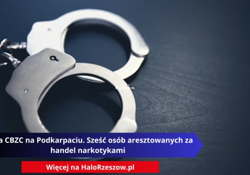 Akcja CBZC na Podkarpaciu. Sześć osób aresztowanych za handel narkotykami