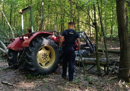 Śmiertelny wypadek podczas prac w lesie
