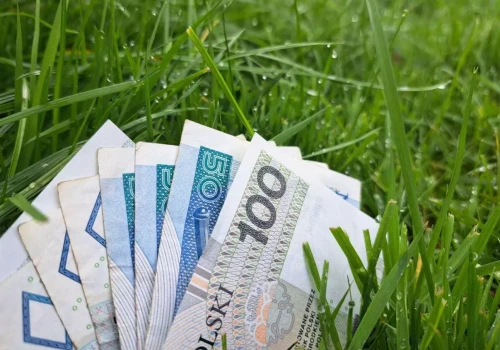 Dopłaty 2026: do 31 lipca rolnicy muszą złożyć te dokumenty w ARiMR