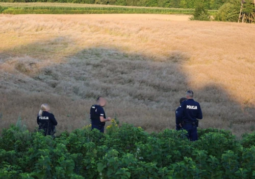Potężny huk w powiecie biłgorajskim. Policja znalazła lej i fragmenty niezidentyfikowanego obiektu