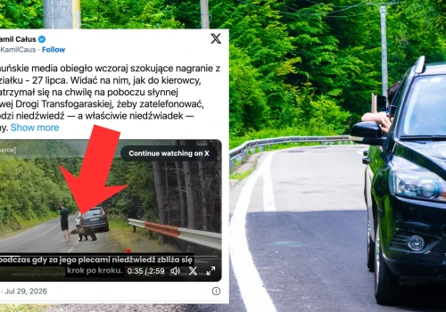 Niedźwiedź podszedł do mężczyzny na kilka centymetrów. Nagranie z Rumunii obiegło sieć