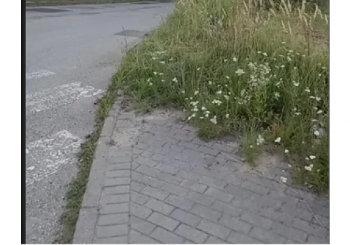 Pieszy może być niewidoczny dla kierowcy. Alarmują w sprawie przejścia na Sarnim Stoku