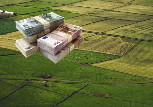 26 mln dolarów za ziemię. Rolnicy odrzucili ofertę i zaskoczyli inwestora