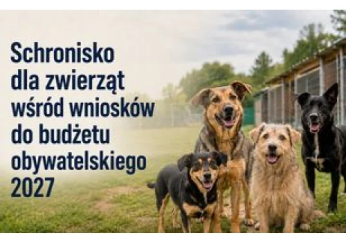 Toruń. 118 projektów z budżetu obywatelskiego z szansą na realizację. Na liście odrzuconych 31 inicjatyw