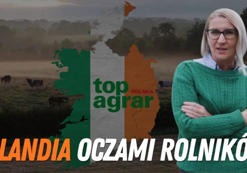 Zielona Wyspa od strony gospodarstw. Jak żyją irlandzcy rolnicy?