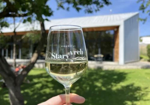 Winnica Stary vrch w Hustopečach – morawski świat wina wśród migdałów i moreli