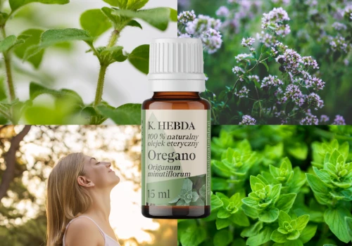Jak bezpiecznie używać olejku z oregano, a czego absolutnie nie robić? Z praktyki aromaterapeutki