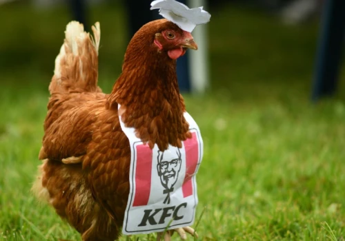 O kurka! Budynek po KFC może przejść kontrowersyjną przemianę