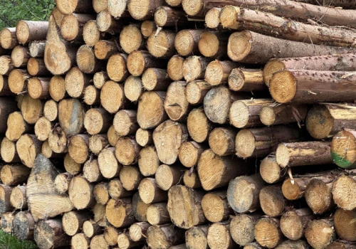Pellet znów może mocno podrożeć? W Sejmie awantura o pozyskanie surowca