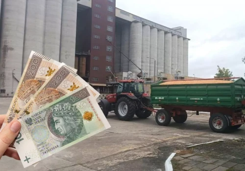 Ceny rzepaku w dół, świnie mocno w górę. Co z pszenicą i nawozami?