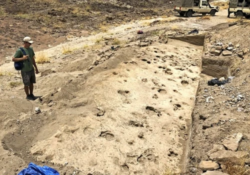 H. erectus czy P. boisei? Ślady sprzed 1,4 miliona lat mogą znacząco zmienić naszą wiedzę